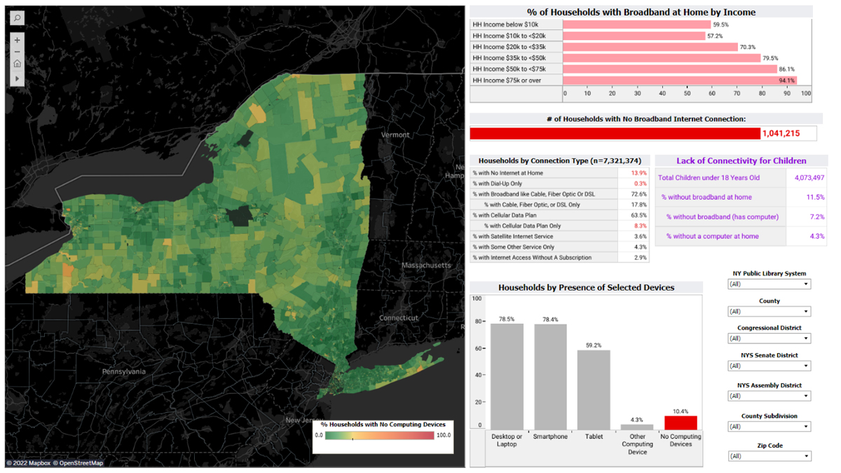 Screenshot displaying NYS Digital Equity Portal interface.