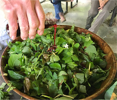 salad greens in a bowl at Ozark Regional Library