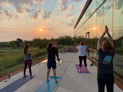 Participants practicing yoga poses early in the morning.