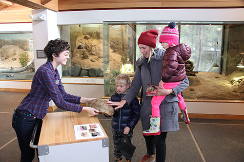 Museum visitors looking at turtle shell