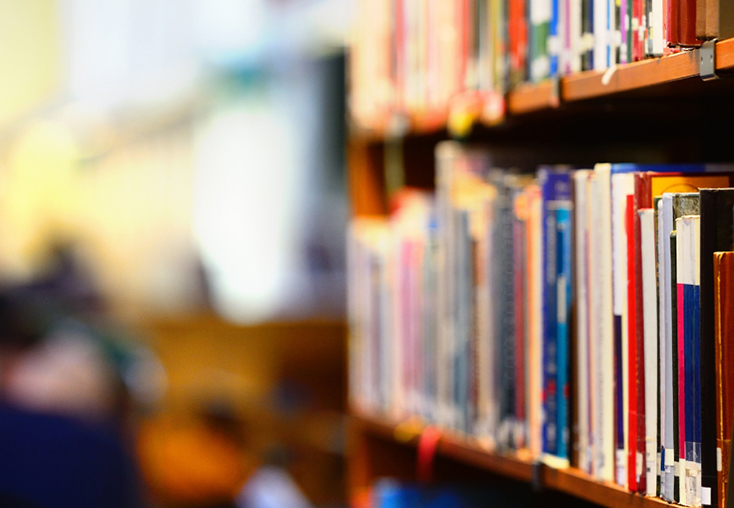 Library books on shelf