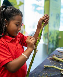 Native girl at interactive museum workshop event