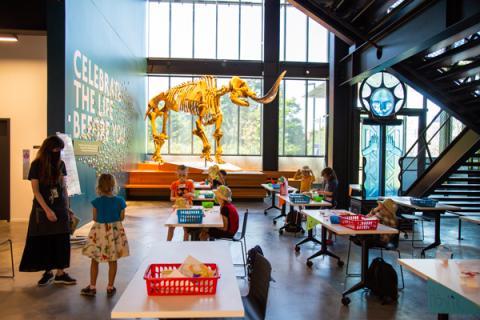 Burke Museum of Natural History and Culture Dinosaur camp and exhibit