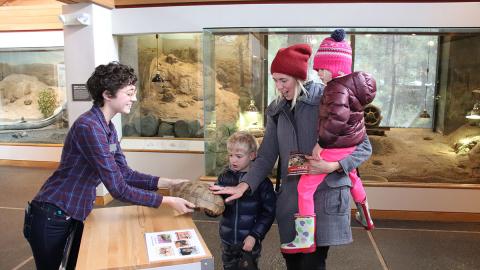 Visitors and staff viewing museum exhibit. High Desert Museum