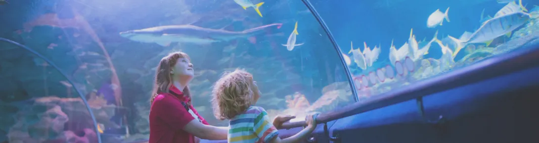 Children looking at fish in an aquarium